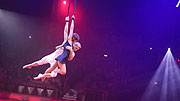 Desire of Flight / Love is in the air  (©Foto: Martin Schmitz)